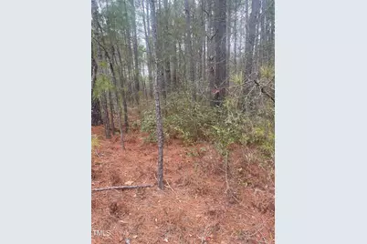 0 Bumpy Lane, Sanford, NC 27332 - Photo 2