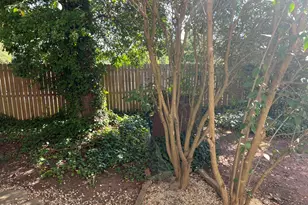 1401 Governors Ct, Raleigh, NC 27604 - Photo 16