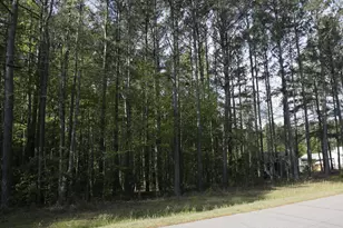 7240 Shawan Rd, Wendell, NC 27591 - Photo 4