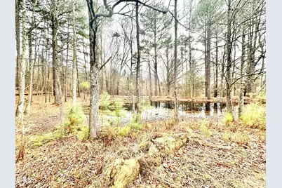 8245 Old Switchboard Road, Snow Camp, NC 27349 - Photo 56