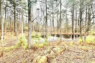 8245 Old Switchboard Rd, Snow Camp, NC 27349 - Photo 56