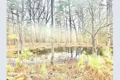 8245 Old Switchboard Road, Snow Camp, NC 27349 - Photo 48