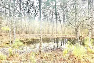 8245 Old Switchboard Rd, Snow Camp, NC 27349 - Photo 48