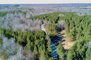 Lot 2 Wolf Tree Way, Efland, NC 27243 - Photo 20