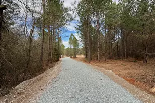 Lot 2 Wolf Tree Way, Efland, NC 27243 - Photo 24