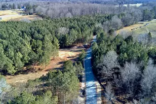 Lot 2 Wolf Tree Way, Efland, NC 27243 - Photo 22
