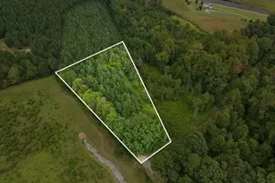 Lot 1 Wolf Tree Way, Efland, NC 27243 - Photo 22