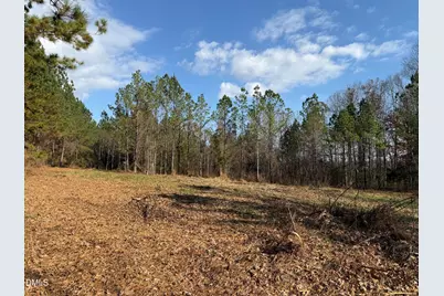 Lot 1 Wolf Tree Way, Efland, NC 27243 - Photo 28