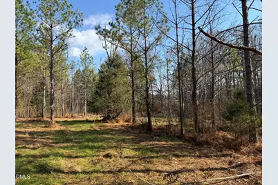 Lot 1 Wolf Tree Way, Efland, NC 27243 - Photo 26
