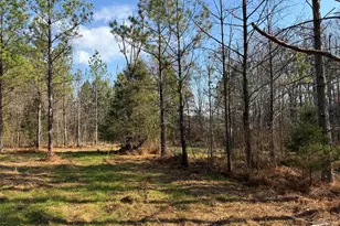 Lot 1 Wolf Tree Way, Efland, NC 27243 - Photo 26