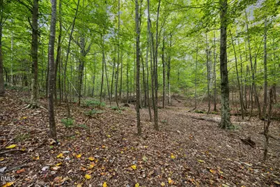 Lot E Wolf Tree Way, Efland, NC 27243 - Photo 32