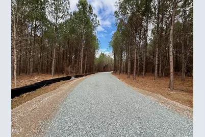 Lot D Wolf Tree Way, Efland, NC 27243 - Photo 38