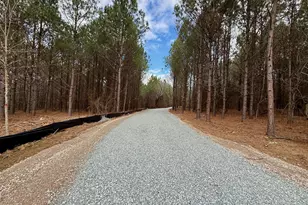 Lot D Wolf Tree Way, Efland, NC 27243 - Photo 38