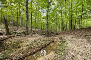 Lot D Wolf Tree Way, Efland, NC 27243 - Photo 28