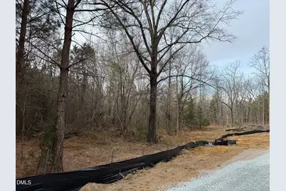 Lot D Wolf Tree Way, Efland, NC 27243 - Photo 28