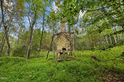 Lot D Wolf Tree Way, Efland, NC 27243 - Photo 30