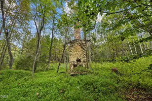 Lot D Wolf Tree Way, Efland, NC 27243 - Photo 30