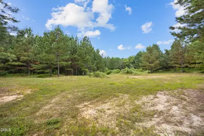 Lot 3 Wolf Tree Way, Efland, NC 27243 - Photo 26