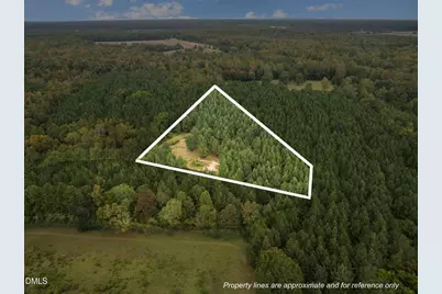 Lot 3 Wolf Tree Way, Efland, NC 27243 - Photo 22