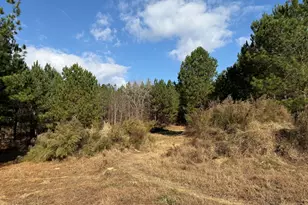Lot 3 Wolf Tree Way, Efland, NC 27243 - Photo 28