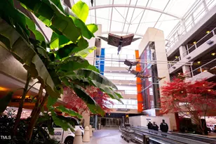 6420 Tanner Oak Ln, Raleigh, NC 27613 - Photo 48