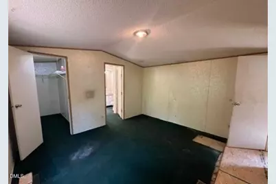 365 Scronce Road, Harrells, NC 28444 - Photo 4