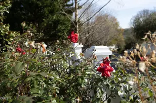 520 Highgrove Dr, Chapel Hill, NC 27516 - Photo 44