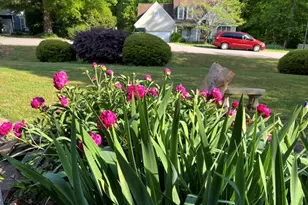 1220 Hillingdon Way, Raleigh, NC 27614 - Photo 42