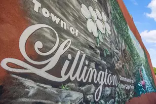 214 Harriette Ct, Lillington, NC 27546 - Photo 48