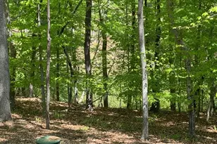 101 Stillwater Ln, Roxboro, NC 27574 - Photo 30