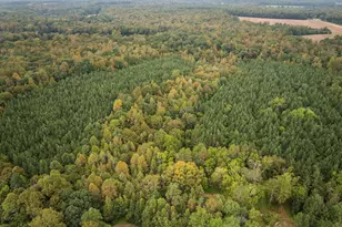 Lot 4 Wolf Tree Way, Efland, NC 27243 - Photo 24
