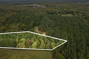 Lot 4 Wolf Tree Way, Efland, NC 27243 - Photo 22