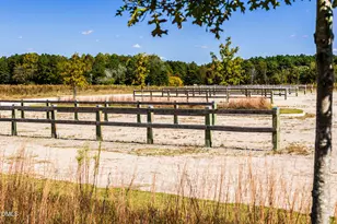 505 Soar Ln, Wendell, NC 27591 - Photo 44