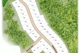 287 Enfield Dr, Carthage, NC 28327 - Photo 30