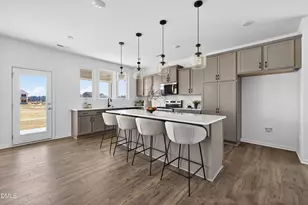 415 Plentiful Wy, Benson, NC 27504 - Photo 4