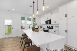 415 Plentiful Wy, Benson, NC 27504 - Photo 2