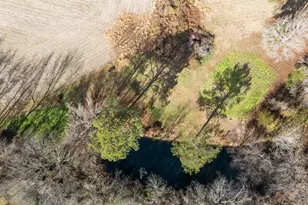 2715 Motts Way, Rocky Mount, NC 27803 - Photo 30