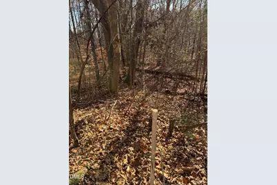 00 Matthews Drive, Henderson, NC 27537 - Photo 6