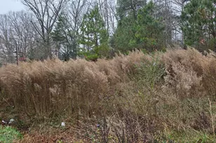 674 Axtell Ridgeway Rd, Norlina, NC 27563 - Photo 1