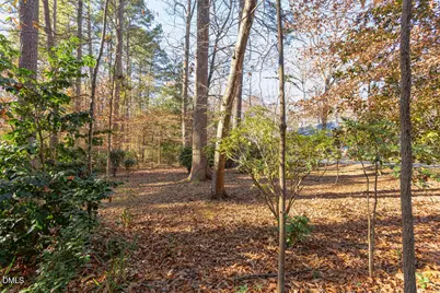 806 Kings Mill Road, Chapel Hill, NC 27517 - Photo 44