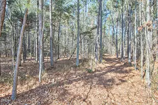 2864 Hewett Ln, Chapel Hill, NC 27516 - Photo 12