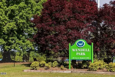 313 Sweetbay Tree Drive, Wendell, NC 27591 - Photo 30