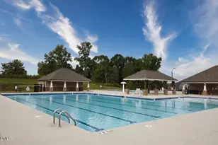 45 East Fire Opal Ct, Clayton, NC 27520 - Photo 38