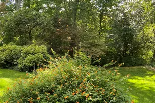 1100 Sudbury Ct, Raleigh, NC 27609 - Photo 10