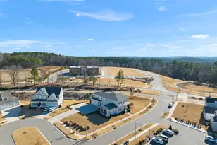 235 Cottage Way, Pittsboro, NC 27312 - Photo 50