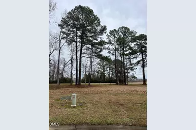 62 Currituck Court, Oriental, NC 28571 - Photo 10