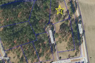 62 Currituck Ct, Oriental, NC 28571 - Photo 1