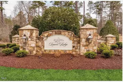 60 Clear Springs Court, Pittsboro, NC 27312 - Photo 4