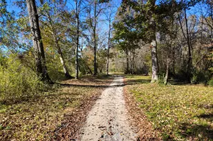 90 Paraggi Ct, Clayton, NC 27527 - Photo 74