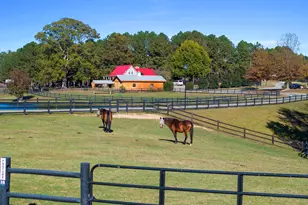 90 Paraggi Ct, Clayton, NC 27527 - Photo 72